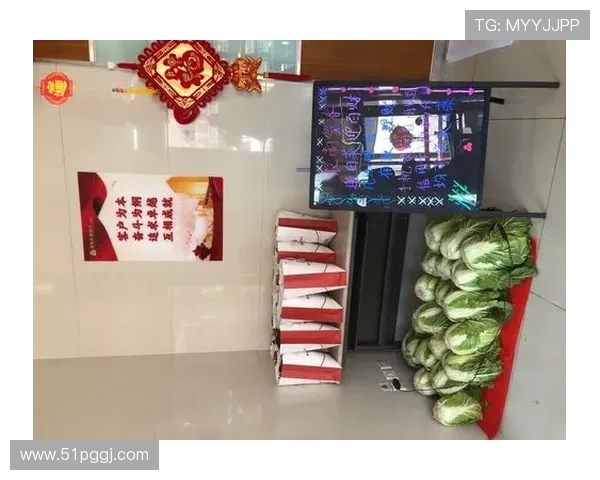 探索白菜送彩金平台的优势与使用技巧